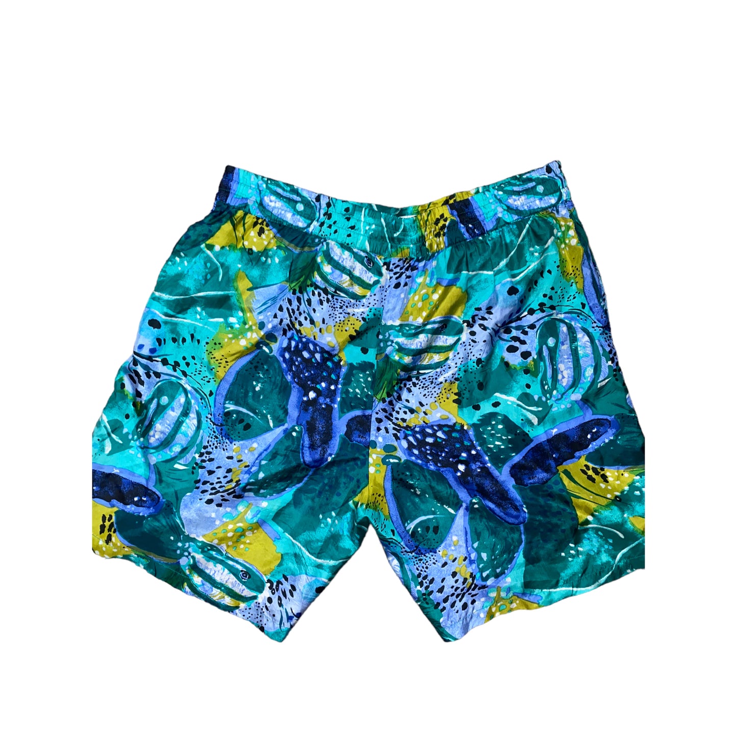 Aqua Shorts