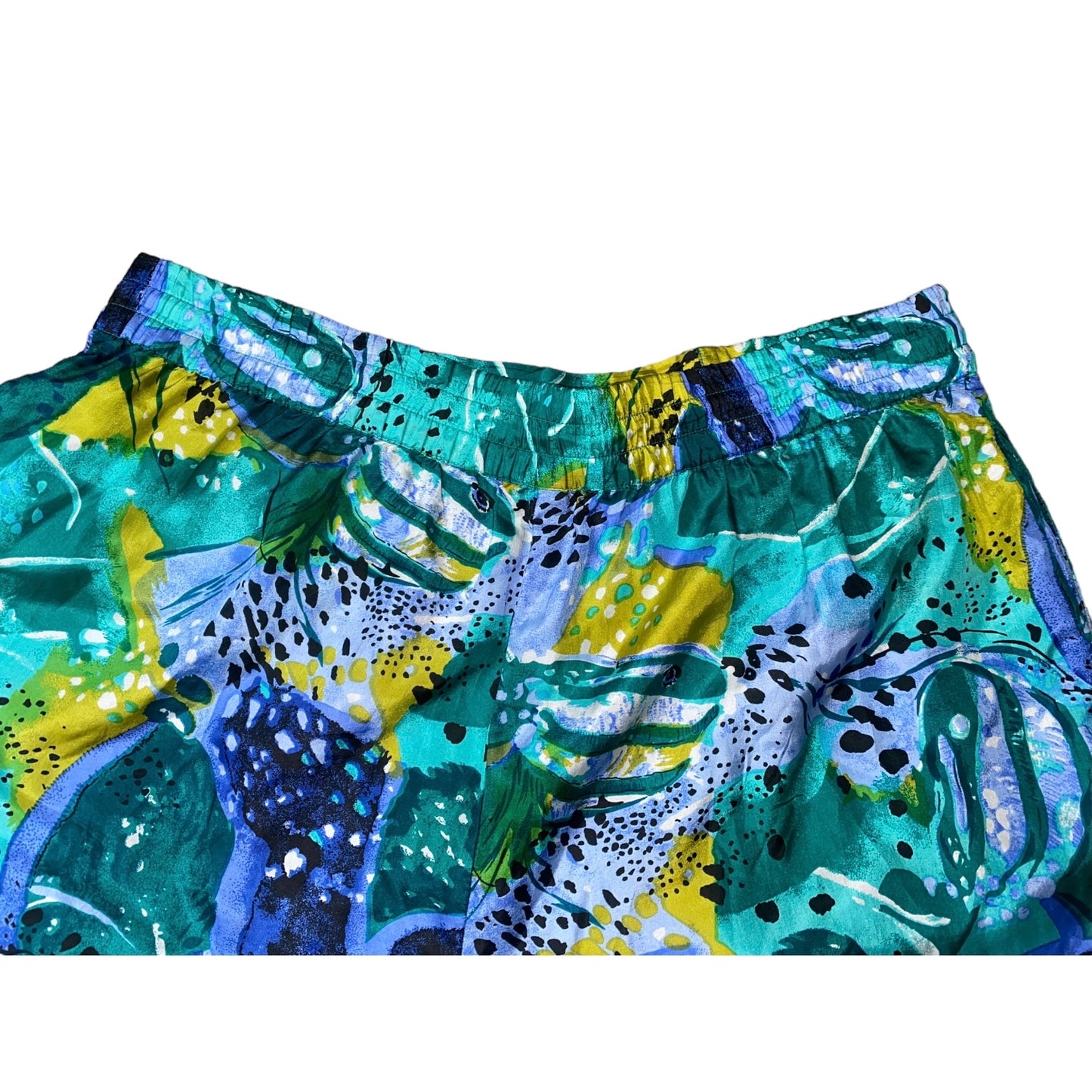 Aqua Shorts